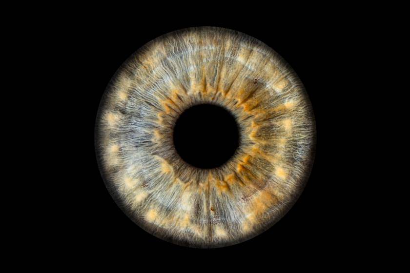 Iris-Fotografie