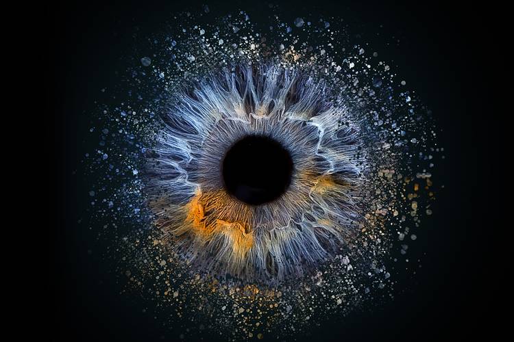 Your eye in iris design crush