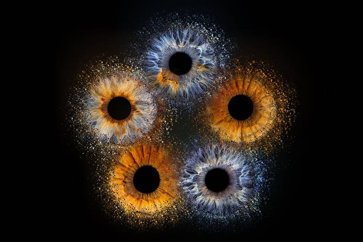 Iris design for families and friends