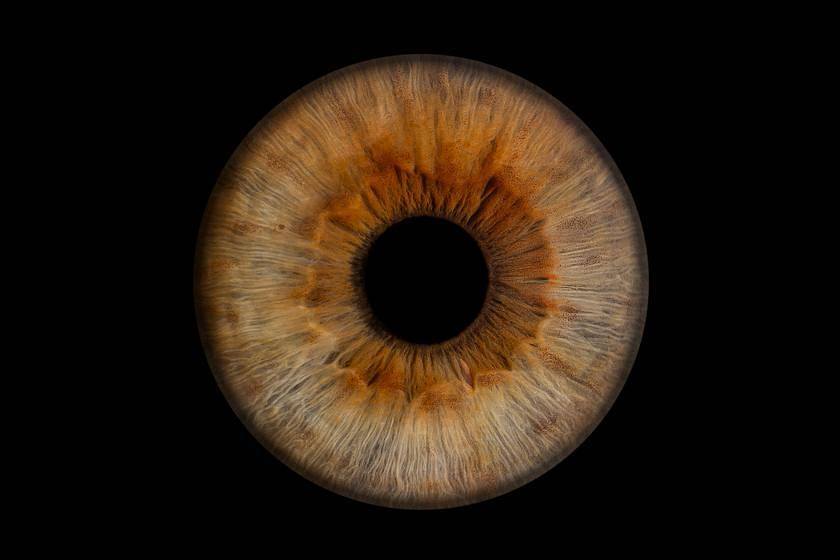 Iris-Fotografie