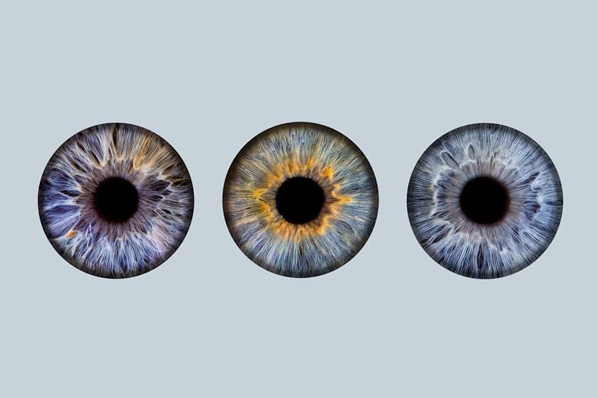 Iris-Fotografie