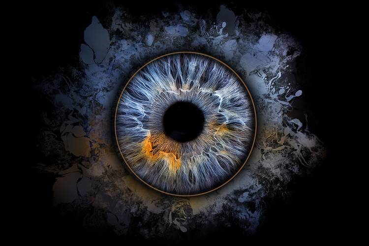 New Iris Design Template