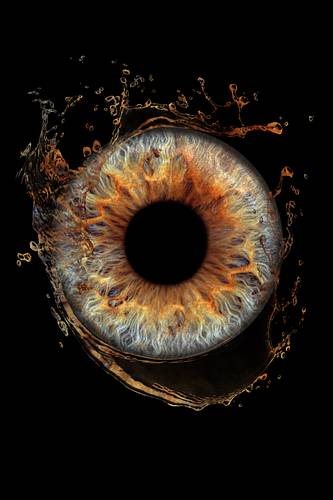 Iris photo design example microphotography