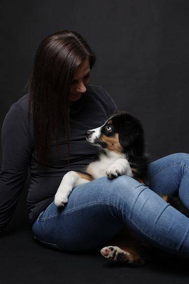 Tier-Fotoshooting