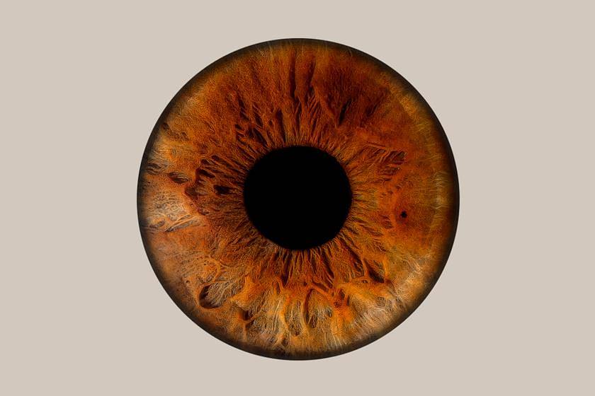 Iris-Fotografie