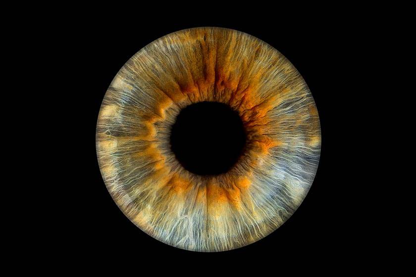 Iris-Fotografie